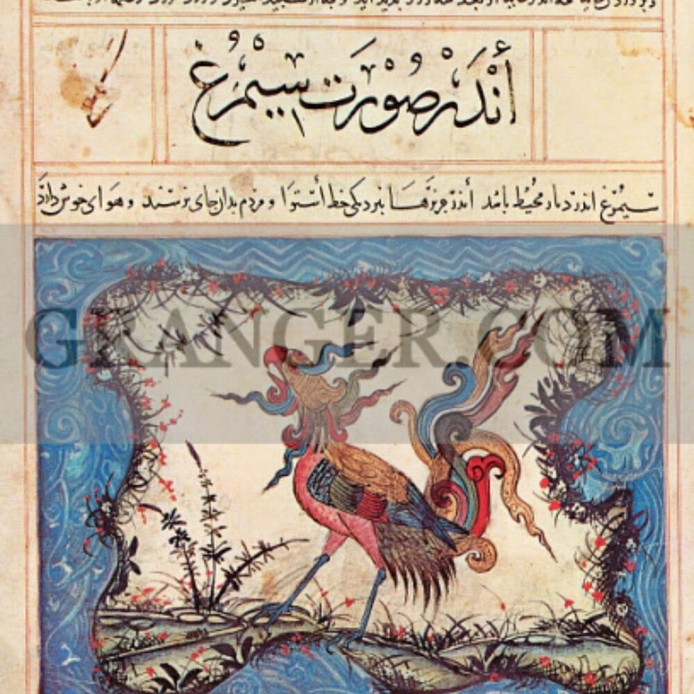 Meet your Posher, robinroshan